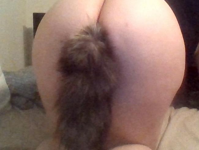 KITTEN PLAY WITH HER TAIL BUTT PLUG