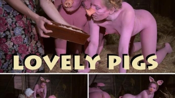 lovely pigs